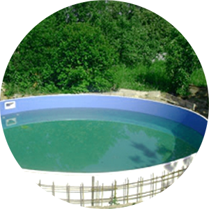 Полипропиленовые бассейны в Нижнем Новгороде