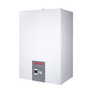 Газовый котел Thermex EuroElite F10 настенный