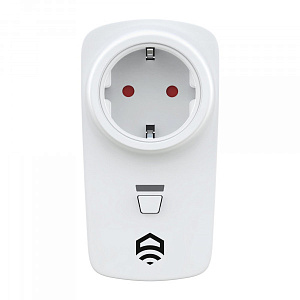 Беспроводная розетка EctoControl 16А (ES-SORD-01)